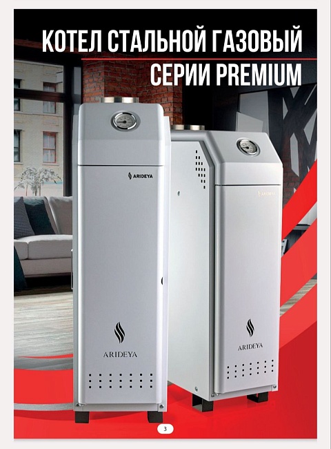 Котел отопительный газовый водогрейный ARIDEYA КС-Г-12 СН Premium